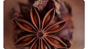 a close up macro photography of star anise