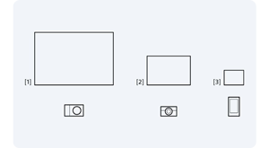 graphic showing the different sensor sizes from largest to smallest with APS-C, 1.0 type and mobile phones