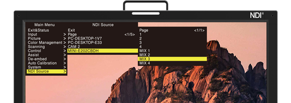 SWIT 23.8 inch BM-245-NDI Professional NDI Monitor