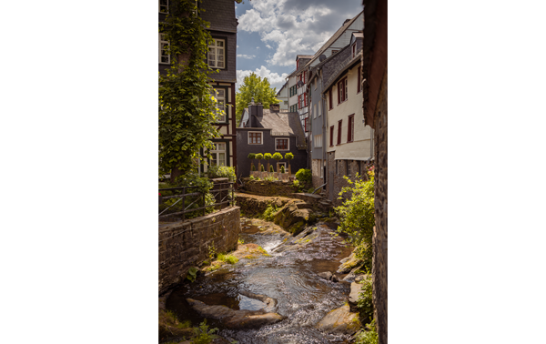 Portrait photograph of a river running through a historic looking european village with stone brick walls and plant life