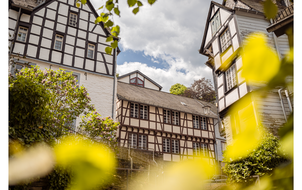 landscape photograph of a historic european town with tudor style housing obscured by out of focus yellow flowers in the foreground