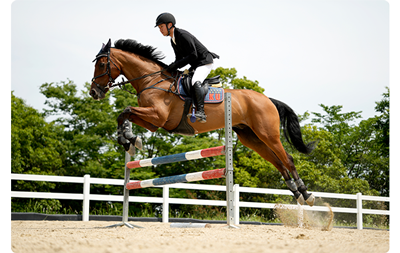 equestrian jumping a brown horse over a competition barrier, Tamron 70-180mm F2.8 Di III VC VXD G2 Lens E Mount