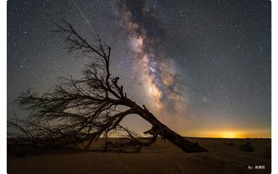 TTArtisan 10mm F2 ASPH sample photograph of bare tree standing in desert in front of clear night sky long exposure showing milky way