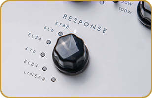 Blackstar AMPED 1