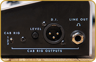 Blackstar AMPED 1