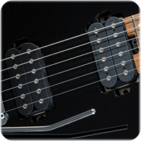CUSTOM SEYMOUR DUNCAN PICKUPS