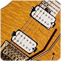 SEYMOUR DUNCAN PICKUPS