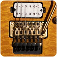GOTOH CUSTOM 510 TREMOLO