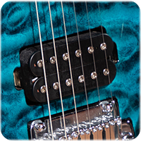CUSTOM SEYMOUR DUNCAN PICKUPS