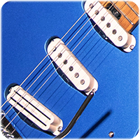 CUSTOM SEYMOUR DUNCAN PICKUPS