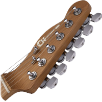 REVERSE LICENSED FENDER TELECASTER HEADSTOCK