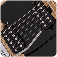 FISHMAN FLUENCE PICKUPS