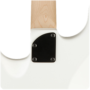Charvel Jim Root Signature