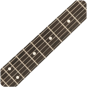 Charvel Jim Root Signature