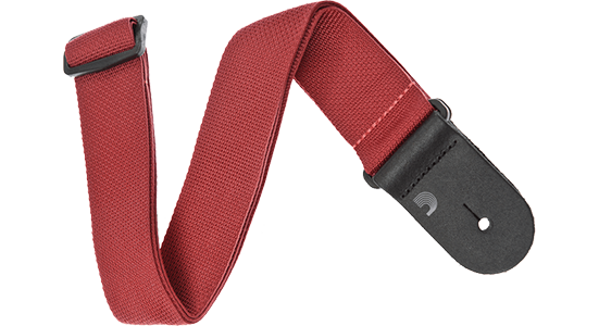 D'Addario PWS101