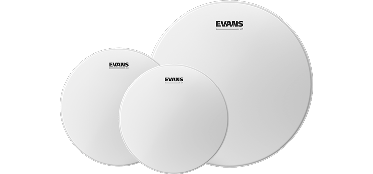 Evans G1