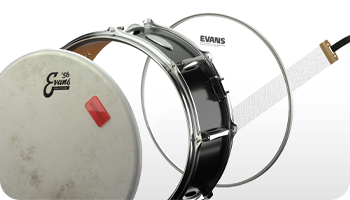 Evans ESTUK-14C7-1