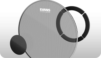 Evans BD20DB1