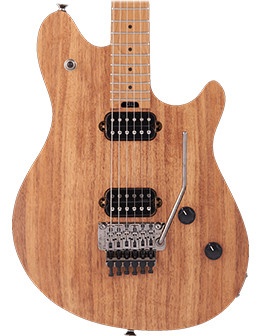 EVH - Wolfgang WG Standard Exotic KOA