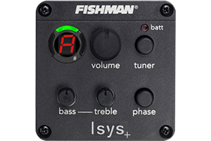 Fishman Pre-Amp Pickup