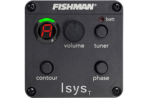 Fishman Pre-Amp Pickup