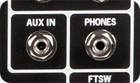 AUXILIARY INPUT