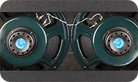 CUSTOM JENSEN NEO SPEAKER