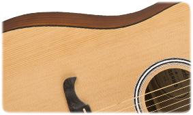 Fender FA-125