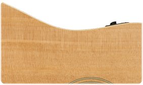 SOLID SPRUCE TOP