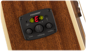 FENDER- AND FISHMAN-DESIGNED PREAMP SYSTEM