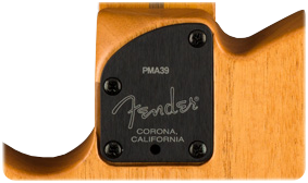 American Acoustasonic Telecaster (Black)