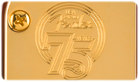 Fender 75th Anniversary Commemorative Stratocaster