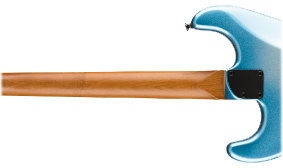ROASTED MAPLE NECK