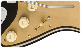 Fender American Ultra Stratocaster (Texas Tea)