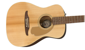 UNIQUE FENDER BODY SHAPE