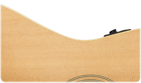 SOLID SPRUCE TOP