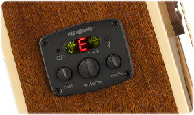 FENDER- AND FISHMAN-DESIGNED PREAMP SYSTEM