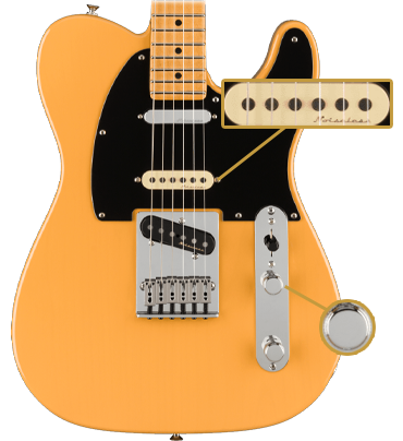 Fender Player Plus Nashville Telecaster (Butterscotch Blonde)