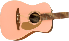 UNIQUE FENDER BODY SHAPE