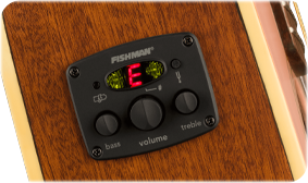 FENDER- AND FISHMAN-DESIGNED PREAMP SYSTEM