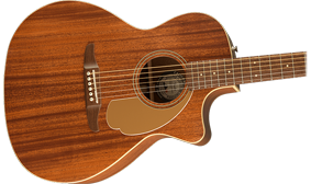 UNIQUE FENDER BODY SHAPE