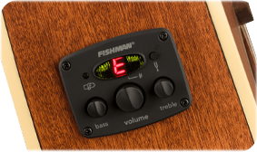 FENDER- AND FISHMAN-DESIGNED PREAMP SYSTEM