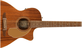 WALNUT FINGERBOARD AND BRIDGE