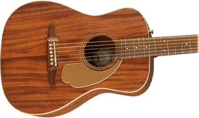 UNIQUE FENDER BODY SHAPE