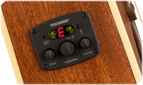 FENDER- AND FISHMAN-DESIGNED PREAMP SYSTEM