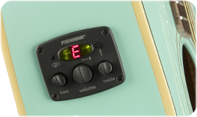 FENDER- AND FISHMAN-DESIGNED PREAMP SYSTEM
