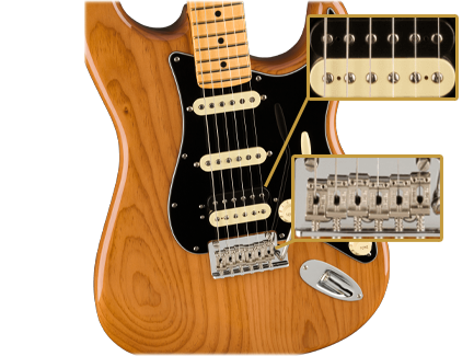 American Professional II Stratocaster (Roasted Pine)