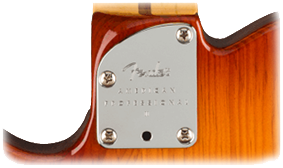 Fender - American Professional II Telecaster - Sienna Sunburst
