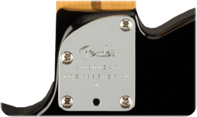 Fender - American Professional II Telecaster - Black