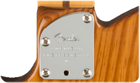Fender - American Professional II Telecaster - Roasted Pine